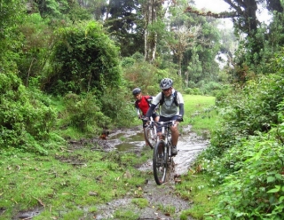paseos ciclistas
